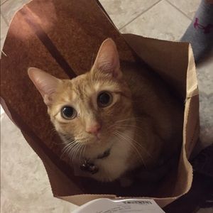 Meet your Posher, Leanne